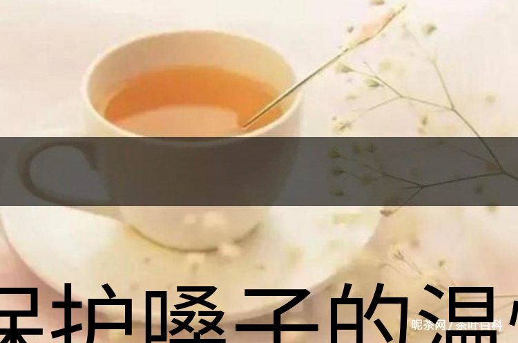 保護嗓子的溫性茶-2 保護嗓子的溫性茶-2