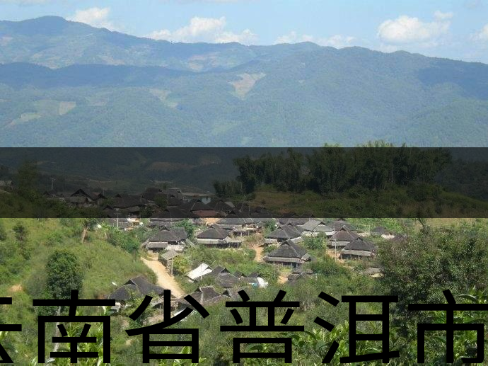 云南省普洱市茶業(yè)概況簡述（二）