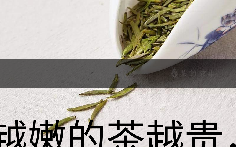越嫩的茶越貴,但越貴的茶就越好嗎?-1 越嫩的茶越貴,但越貴的茶就越好嗎?-1