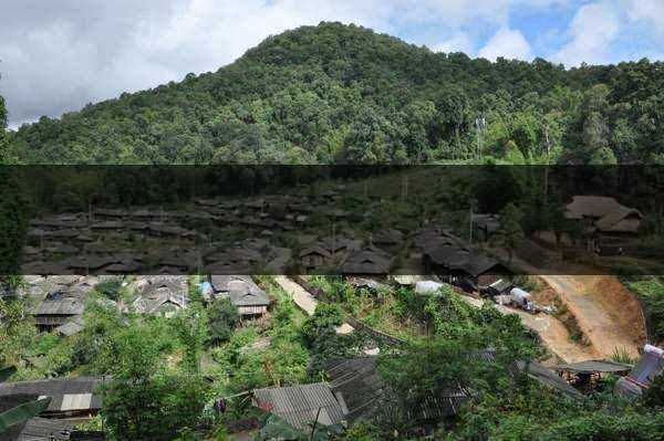 云南省瀾滄縣茶業(yè)概況簡述(第四章) 云南省瀾滄縣茶業(yè)概況簡述(第四章)