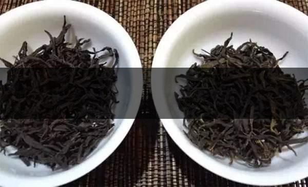 4招讓你變資深辨茶高手! 4招讓你變資深辨茶高手!