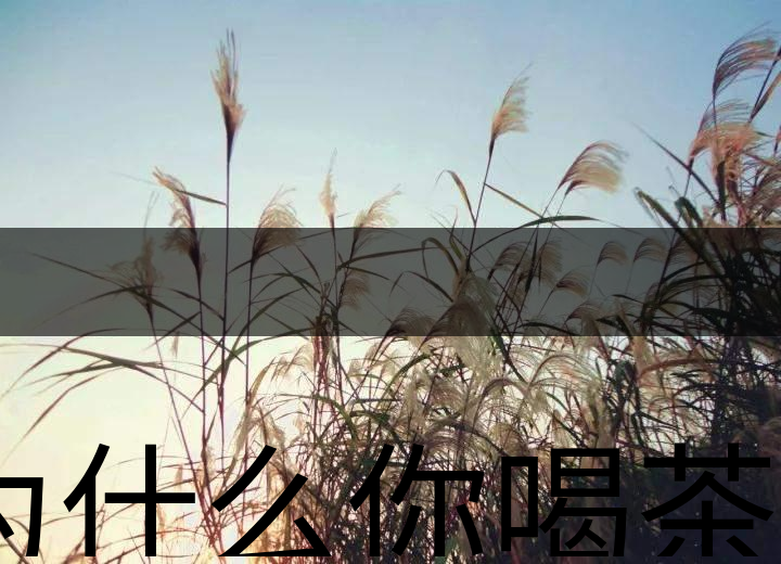 為什么你喝茶就失眠? 為什么你喝茶就失眠?