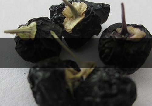 黑枸杞什么時(shí)候成熟-可以天天喝嗎 黑枸杞什么時(shí)候成熟-可以天天喝嗎