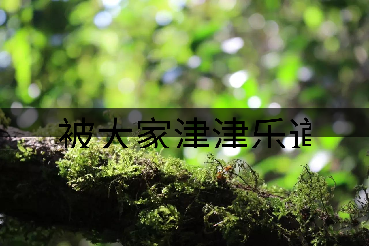 被大家津津樂道的森林茶,你知道是什么?-8-1 被大家津津樂道的森林茶,你知道是什么?-8-1