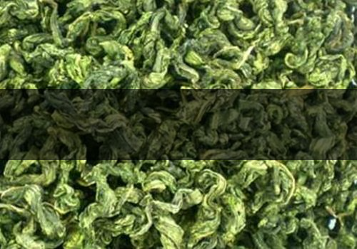 刺五加茶什么時候采摘-多少錢-1 刺五加茶什么時候采摘-多少錢-1