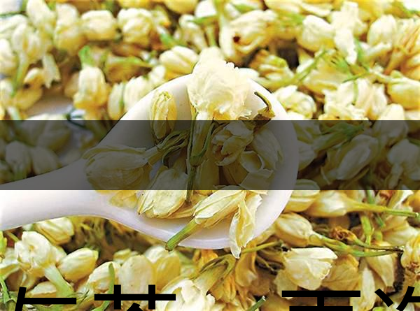 花與茶,再造茉莉之都——福州-1 花與茶,再造茉莉之都——福州-1