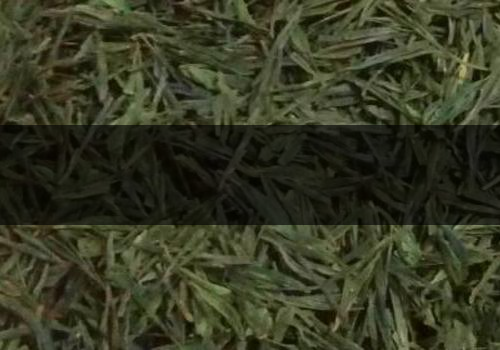 什么是海青茶-怎么泡-1 什么是海青茶-怎么泡-1