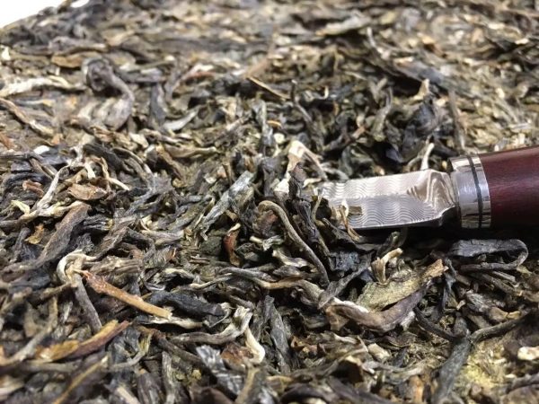 怎么樣泡好落水洞普洱茶?