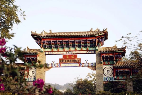 普洱茶商的必爭之地——易武