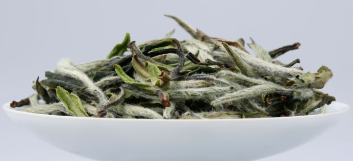白茶的制作工藝（陳財(cái)制茶）