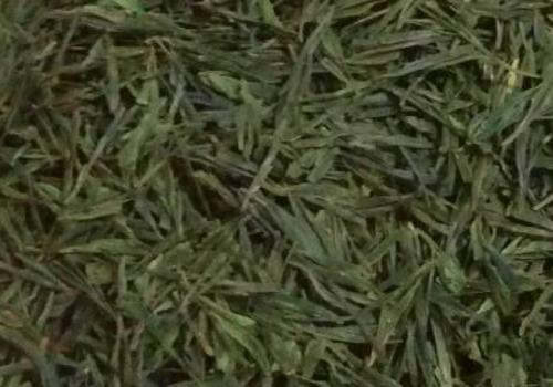 什么是海青茶？沖泡手法詳細教學！