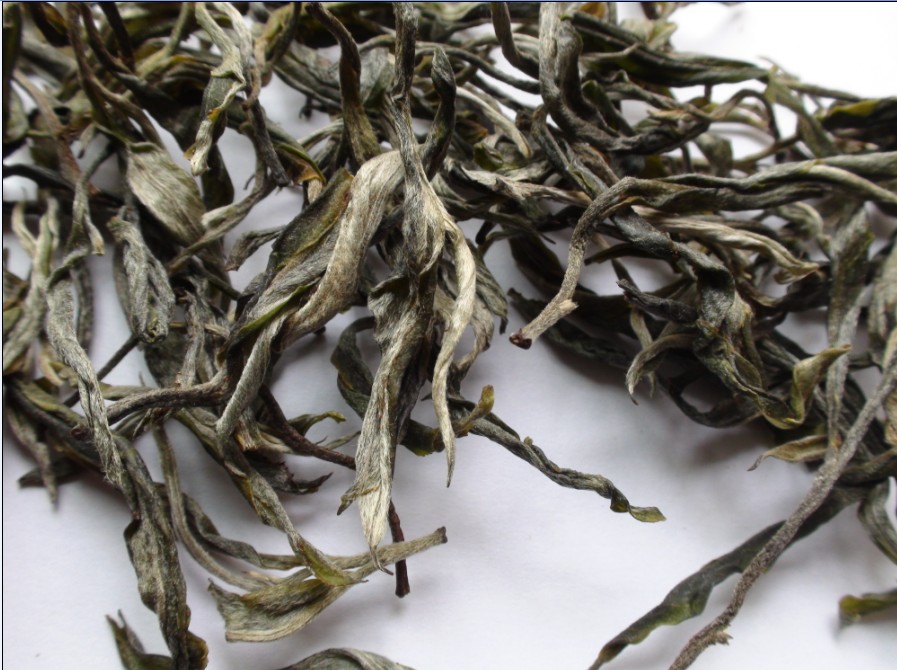 2021年馬鞍山古樹秋茶價格？