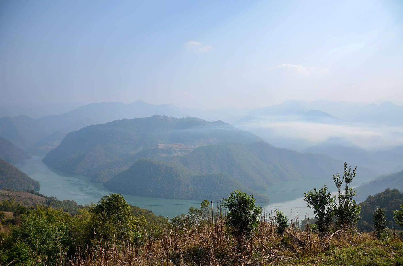 2021年白鶯山古樹秋茶，佛茶有什么魅力？