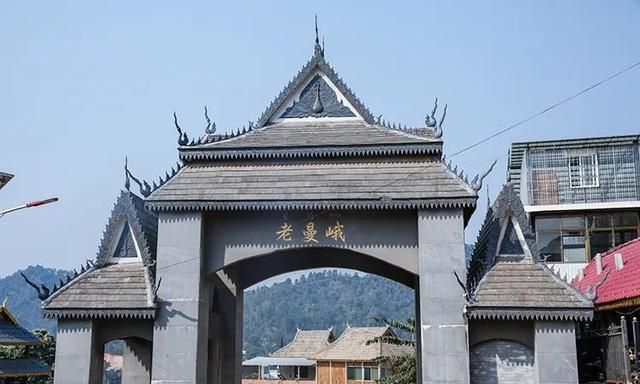 2021年老曼峨古樹秋茶特點？