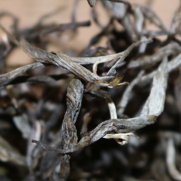 2021年帕沙古樹秋茶,你了解多少?