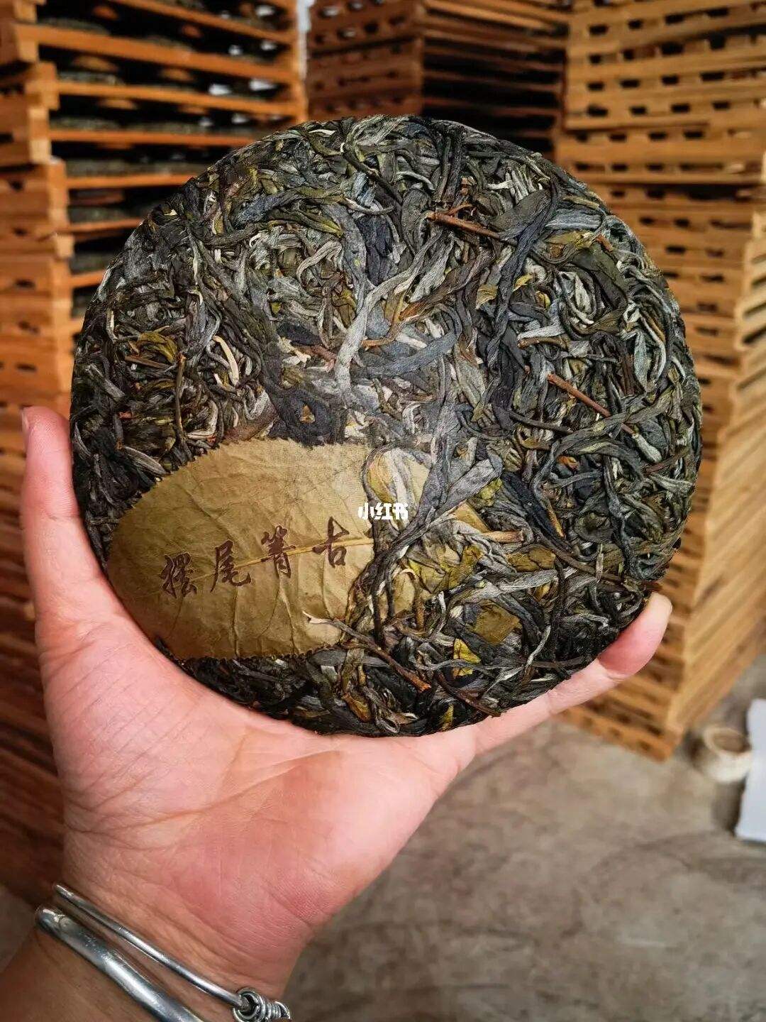 2022年寧洱 擺尾箐古樹春茶價格？