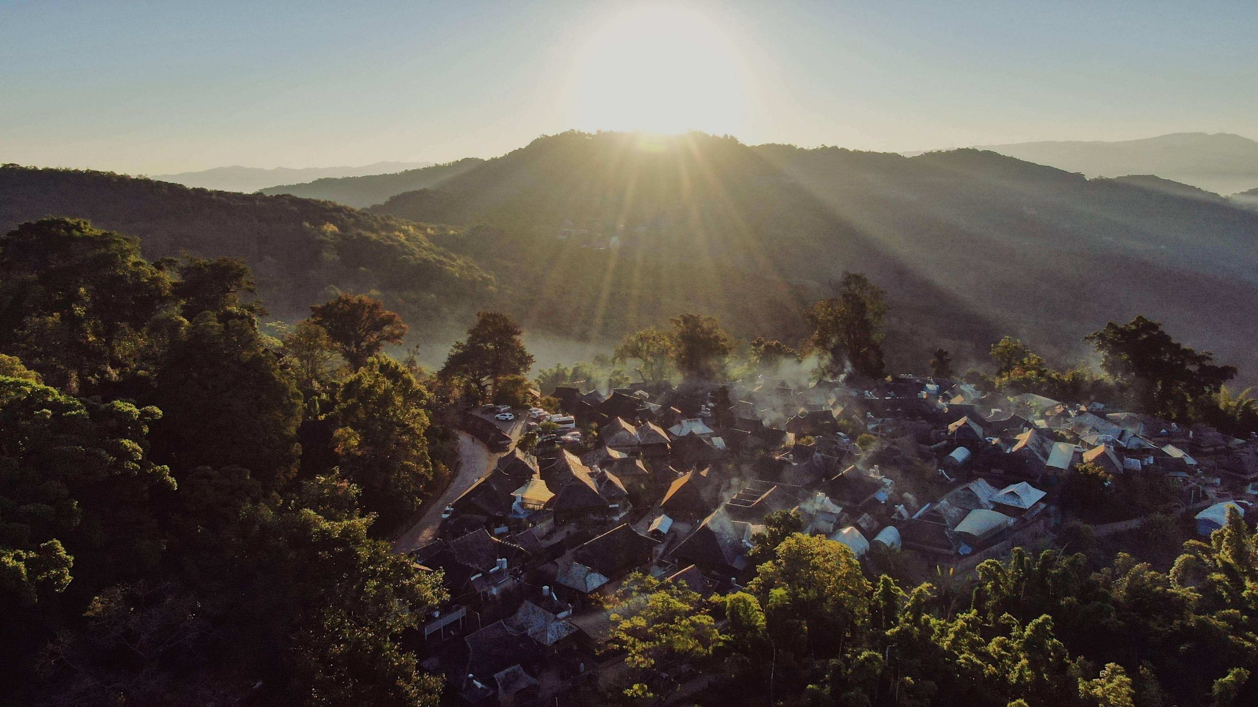 2022年景邁山古樹春茶特點？