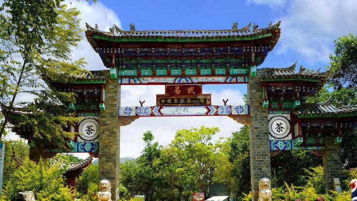 2022年易武正山在哪？易武正山是什么意思？