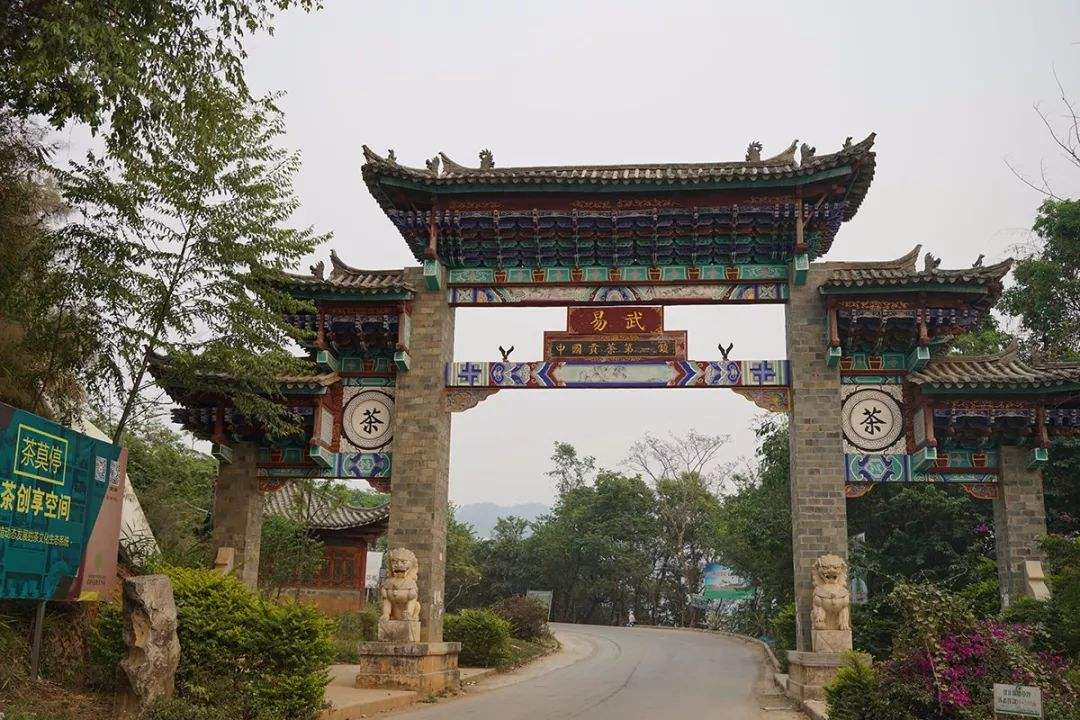 2022年易武正山古樹春茶特點？