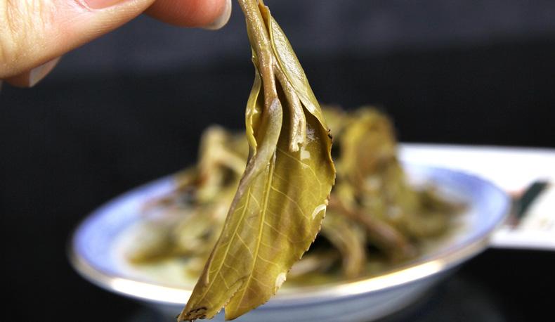 2022年冷水河古樹春茶價格？