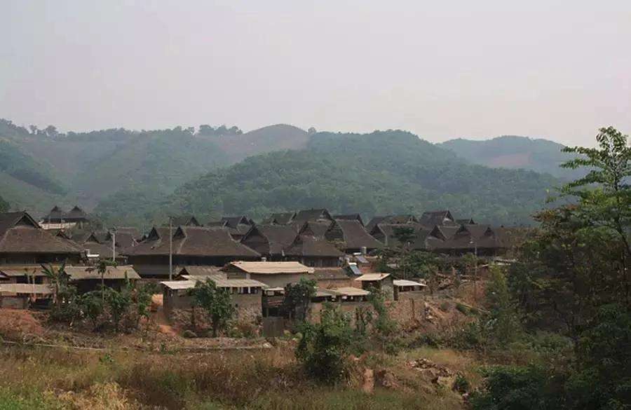 2022年革登古樹春茶特點？