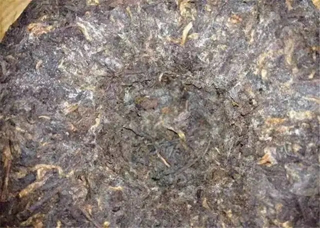 2022年普洱茶受潮發(fā)霉了怎么辦？