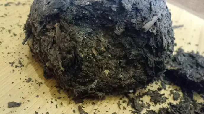 普洱茶蟲子怎么辦？