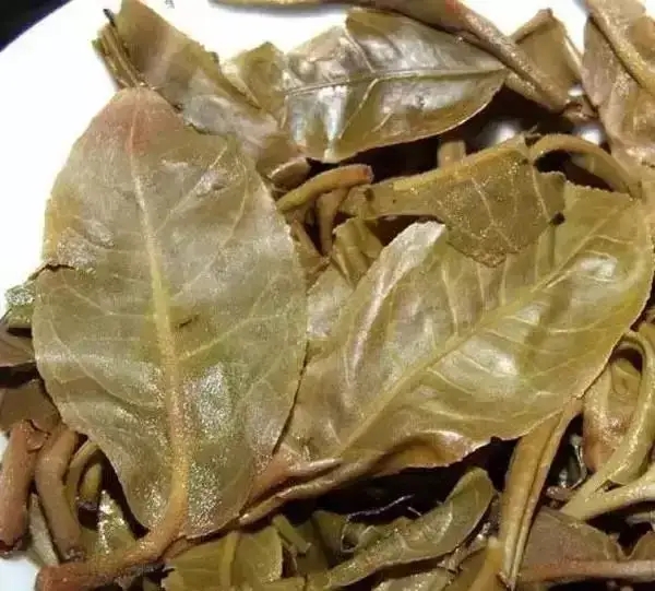 怎么看古樹普洱茶葉底?