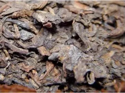 普洱茶你必須要懂：白霜與發霉。