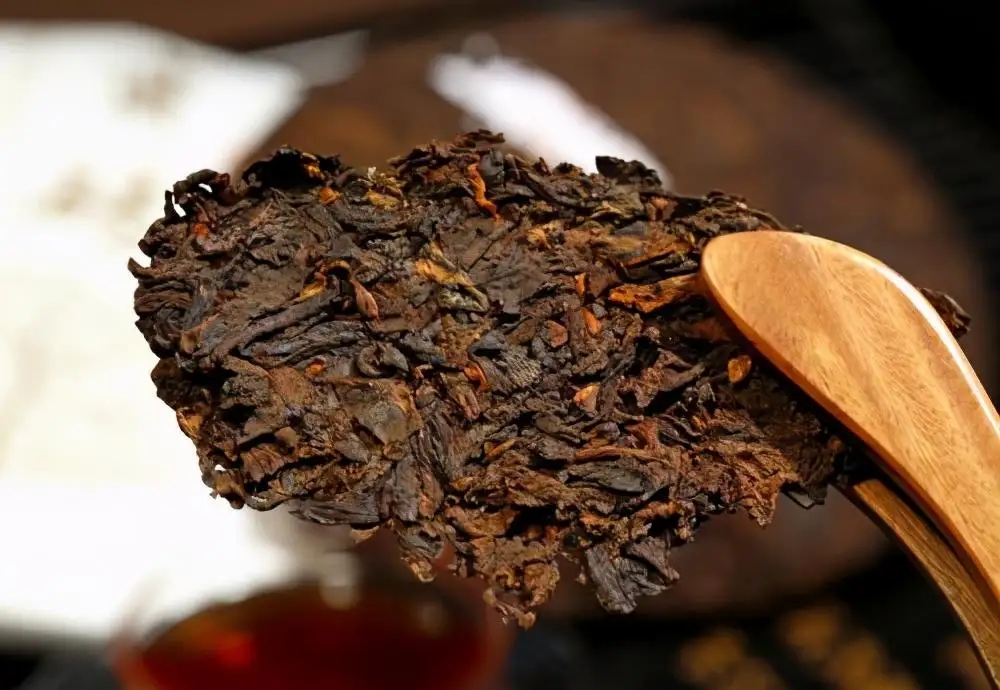 普洱茶生津、回甘、滋味、口感是怎么回事？丨實用