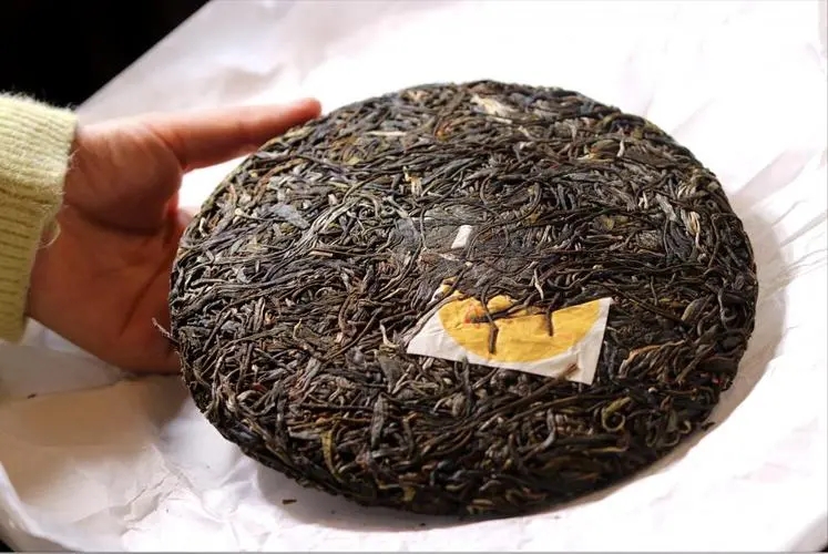 犀牛塘 | 古韻留香，帕沙之王