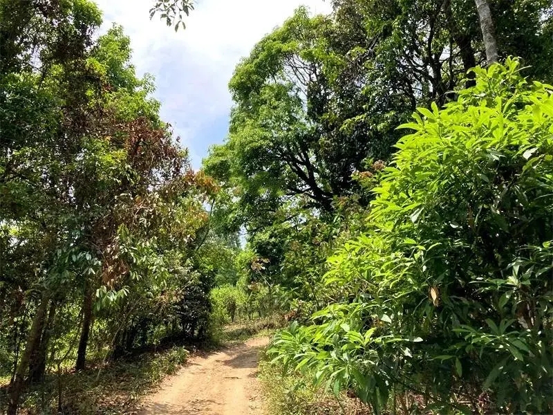 茶山紀(jì)實(shí)：犀牛塘，最近能火是有原因的