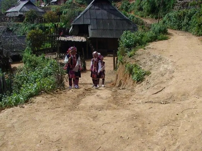 2022年的春天，古樹味道從犀牛塘開始！