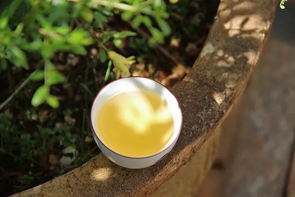 普洱茶越苦澀就代表品質越好嗎？