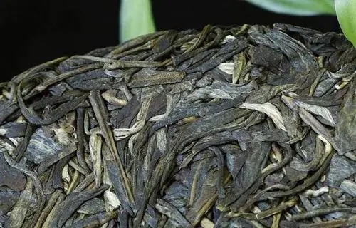 喝普洱茶，一定要喝老茶嗎？