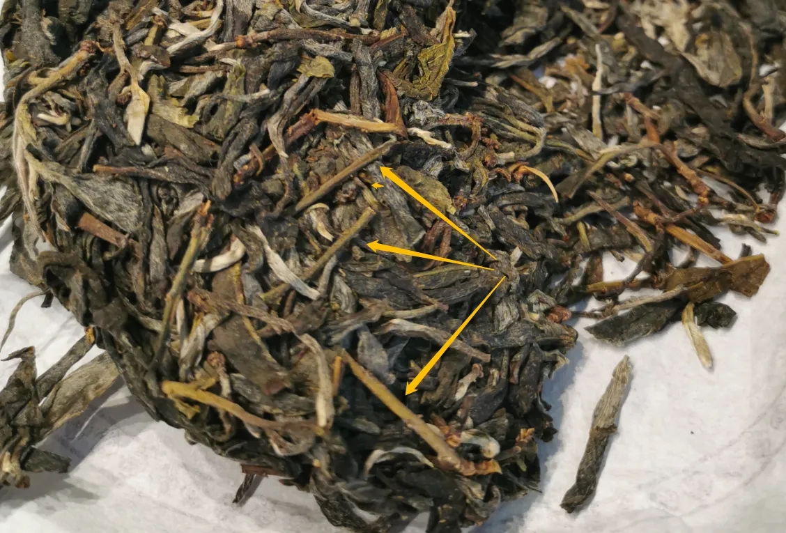 普洱茶的葉底有茶梗，就是茶不好嗎？
