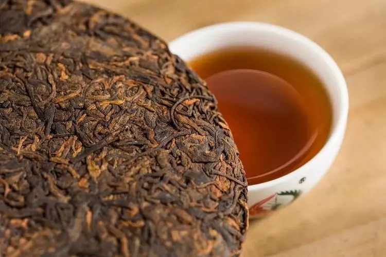 【茶百科】熟茶的轉化空間究竟有多大?