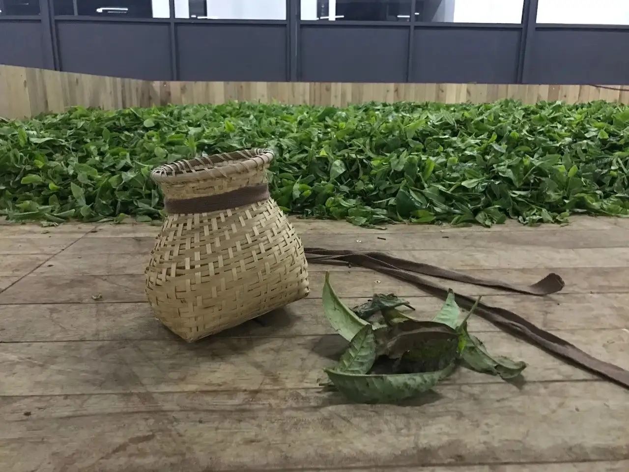 普洱茶,如果不談山頭,我們談什么?