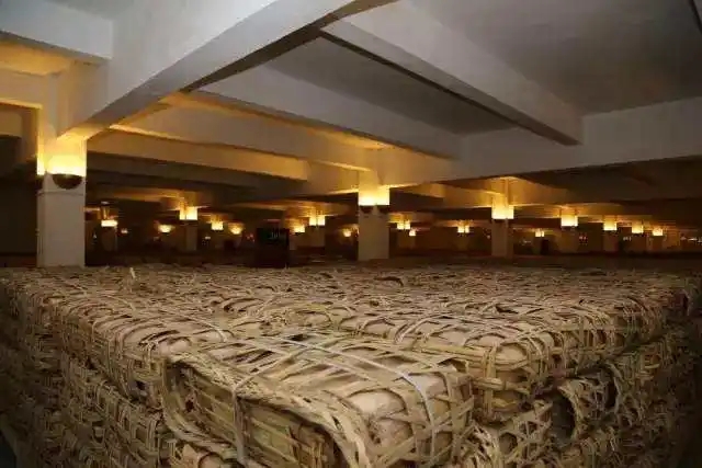 云南古樹普洱茶好在哪？相比小樹茶、臺地茶有何不同？