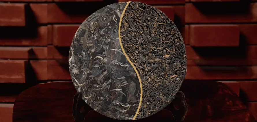 一入普門深似海？入普洱門前，你需要了解這些