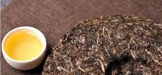 普洱熟茶,究竟存幾年才好喝