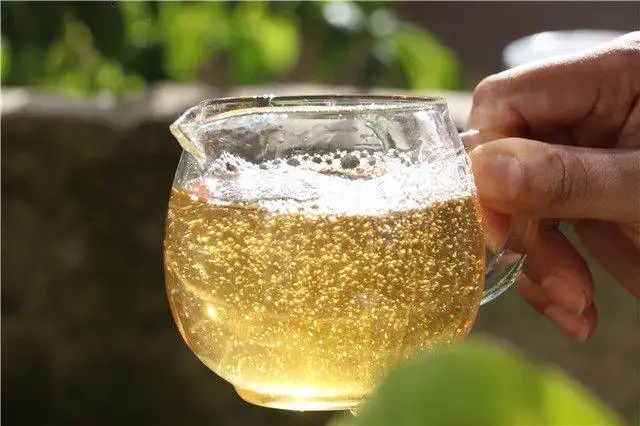 茶顏觀色”，看普洱茶條索里都蘊含著怎樣的“密碼”？