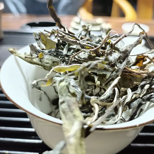 走進臨滄勐庫茶區