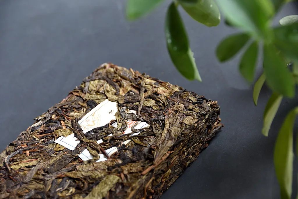 普洱茶古樹黃片，性價比超高的口糧茶，有骨有肉香甜順