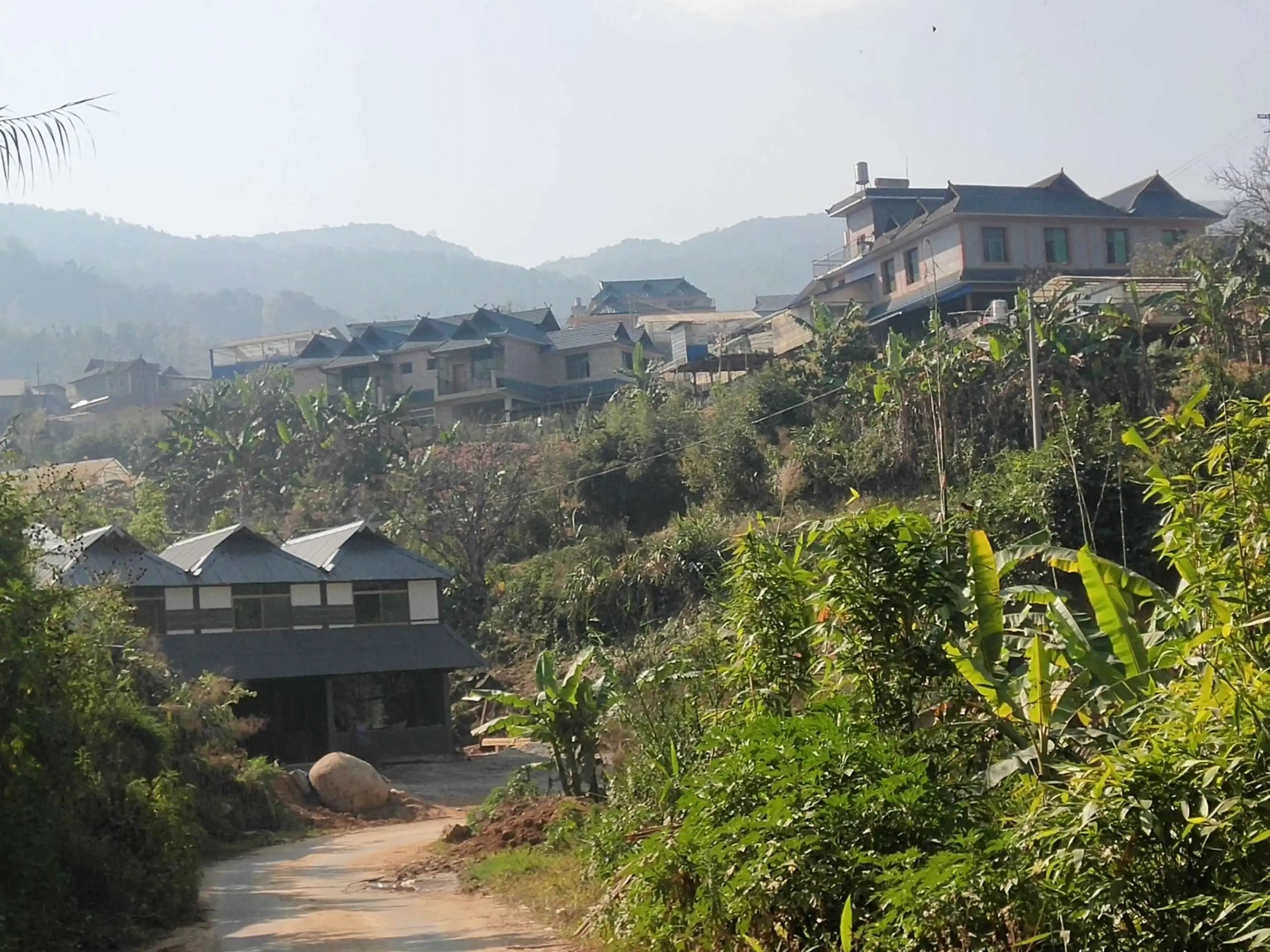 2023年帕沙古樹春茶價格多少錢？