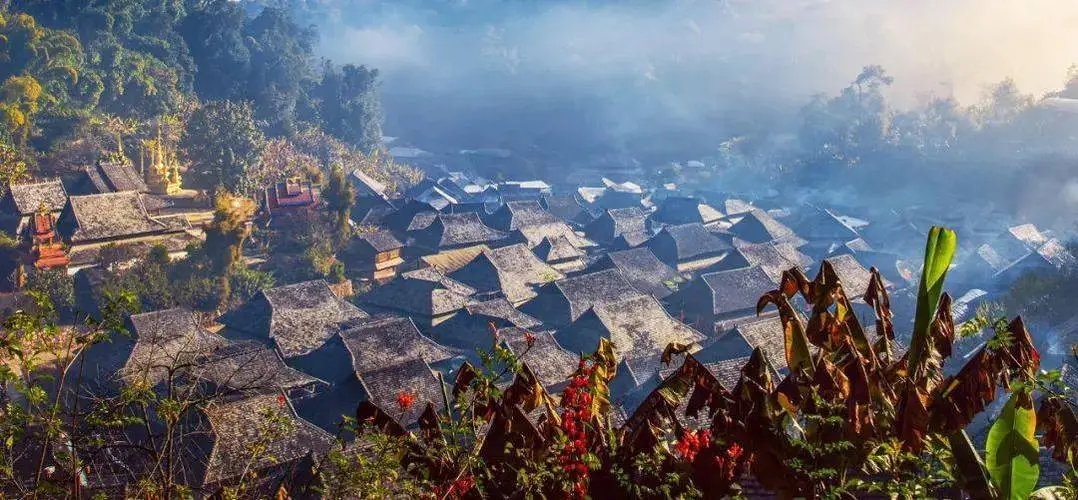 2023年景邁古樹春茶品質如何？