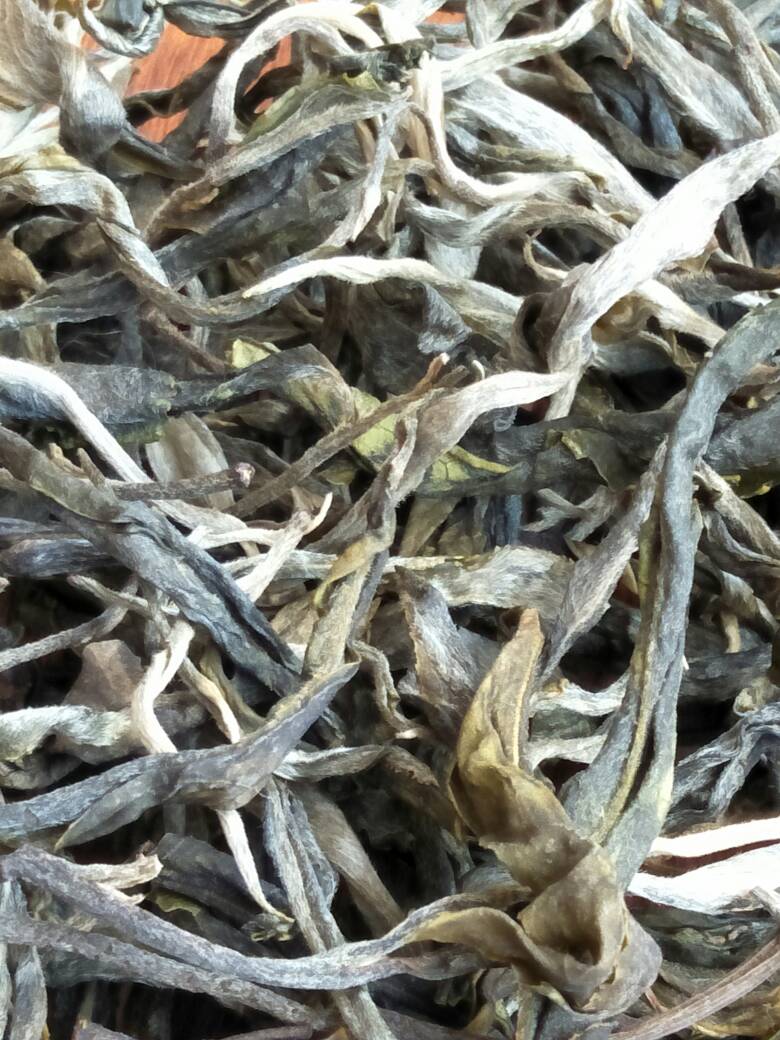 2023年壩歪古樹春茶價格是多少?