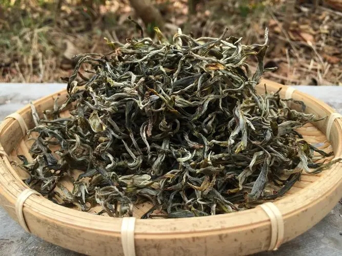 2023年易武張家灣古樹春茶品質(zhì)如何？