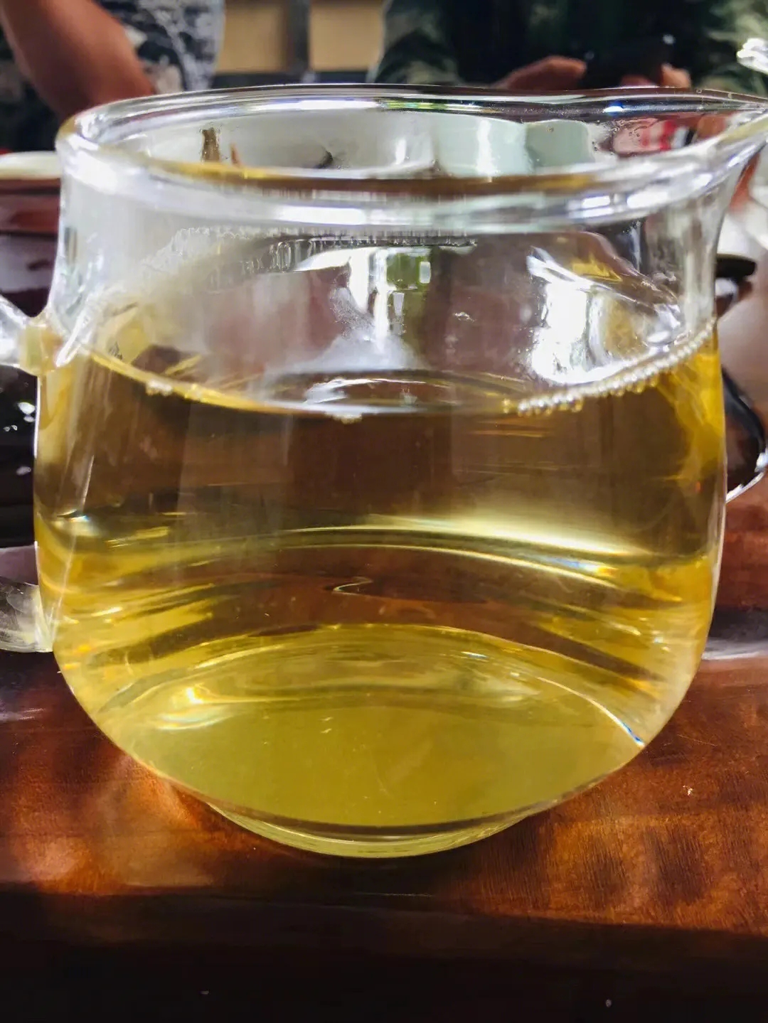 2023年鎮沅老海塘古樹春茶品質怎么樣？