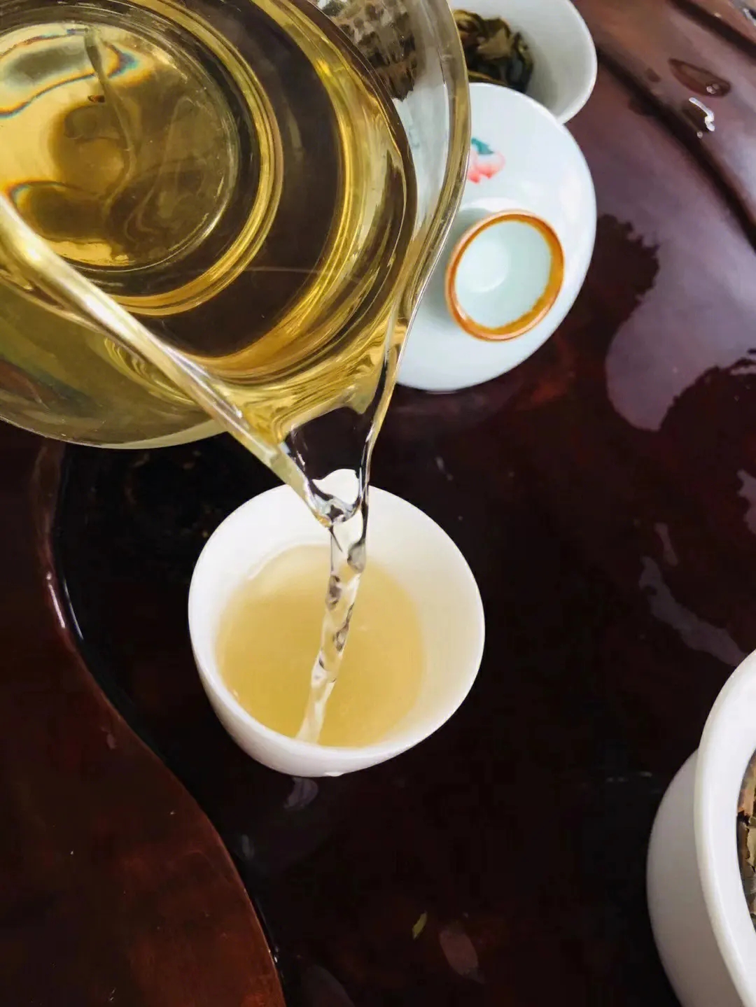 2023年鎮沅老海塘古樹春茶價格是多少？